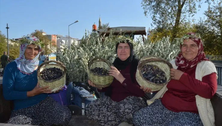 Manavgat’ta Zeytin ve Zeytinyağı Festivali Başladı